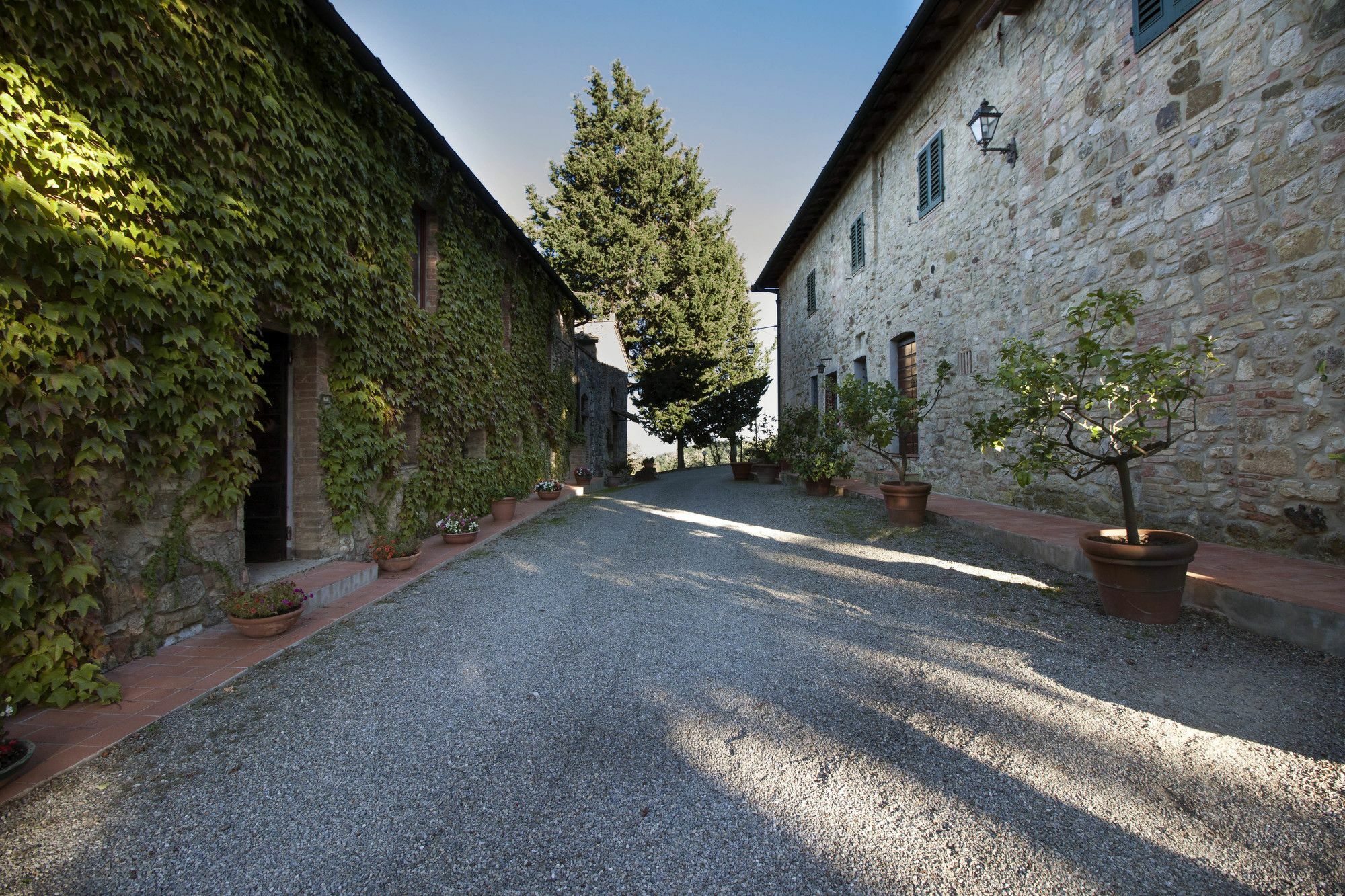 B&B La Torre - Fattoria Di Larniano San Gimignano Exterior photo